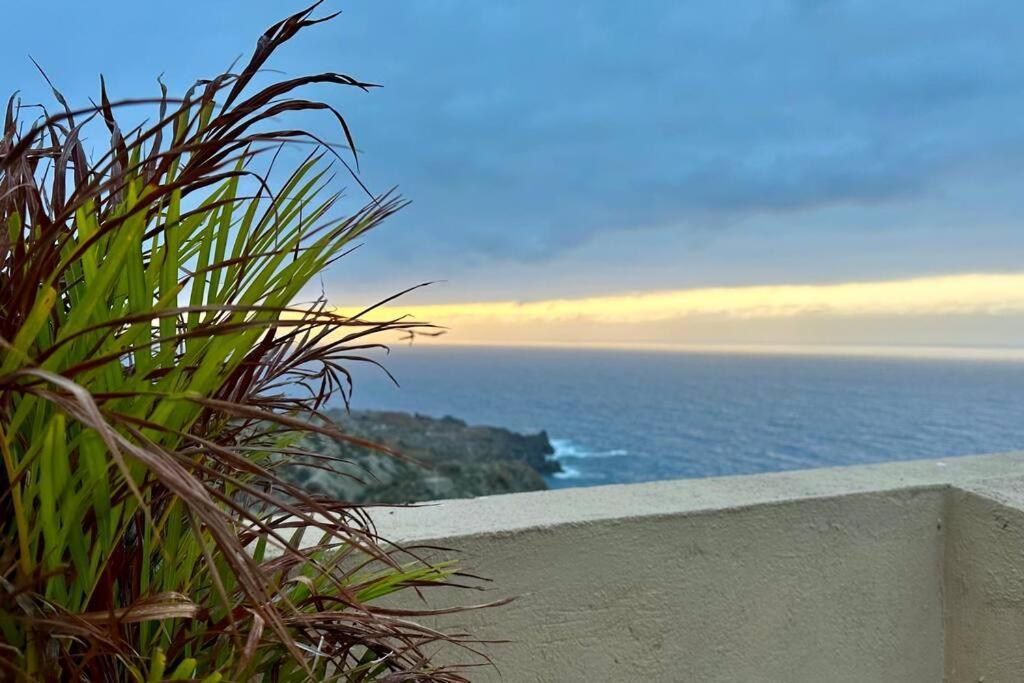 Вилла Peaceful Oasis With Magical Sea Views And A Pool Санта-Крус-де-Тенерифе Экстерьер фото