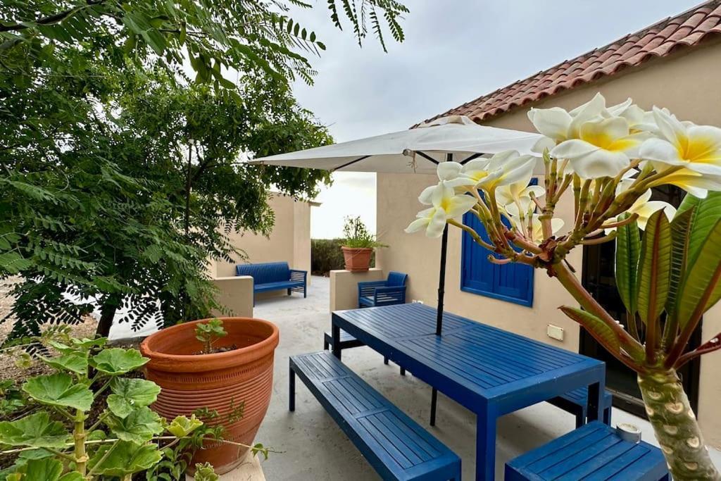Вилла Peaceful Oasis With Magical Sea Views And A Pool Санта-Крус-де-Тенерифе Экстерьер фото