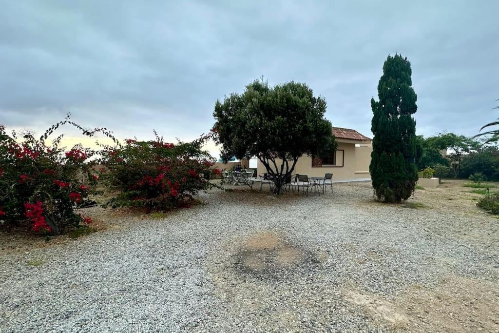 Вилла Peaceful Oasis With Magical Sea Views And A Pool Санта-Крус-де-Тенерифе Экстерьер фото