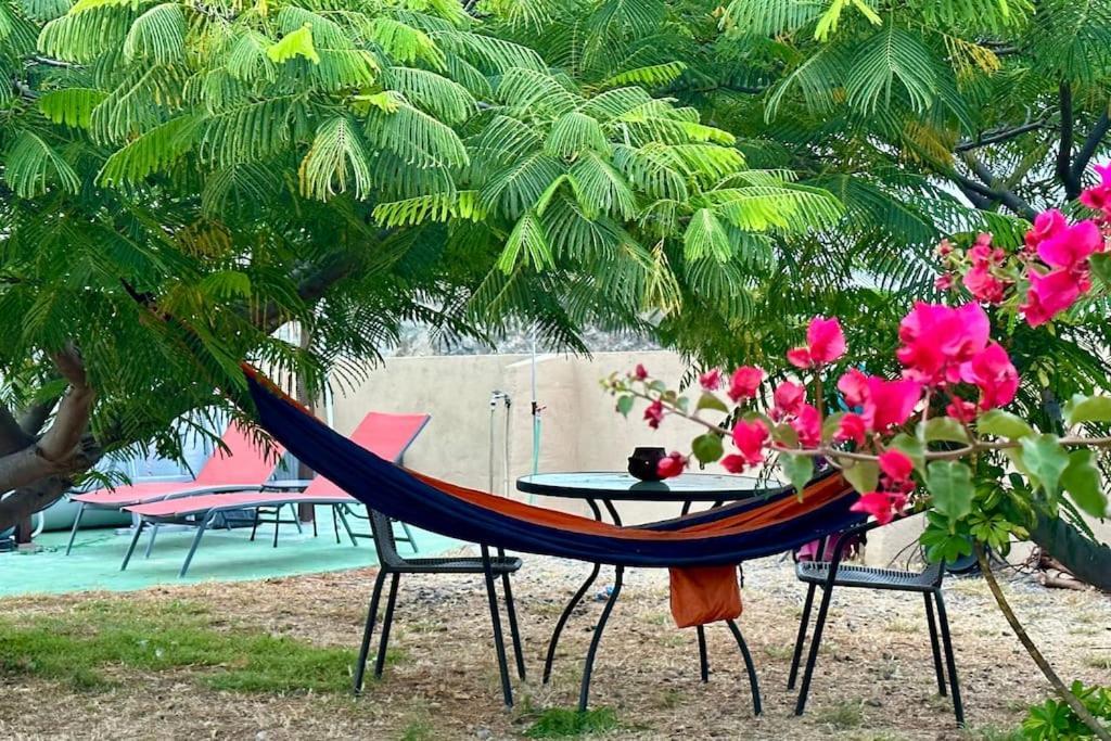 Вилла Peaceful Oasis With Magical Sea Views And A Pool Санта-Крус-де-Тенерифе Экстерьер фото